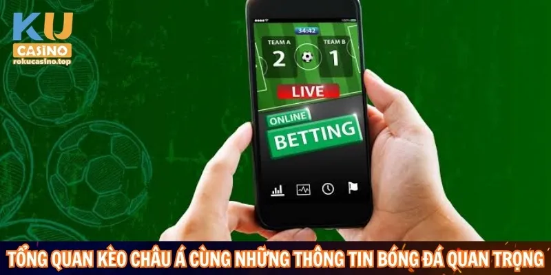 Kèo Châu Á – Hướng Dẫn Soi Kèo Dựa Trên Dữ Liệu Trận Đấu 2 Tổng quan kèo Châu Á cùng những thông tin bóng đá quan trọng