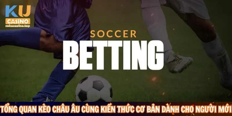 Kèo Châu Âu – Giải Mã Cách Đọc Tỷ Lệ Thắng Hòa Thua 2 Tổng quan kèo Châu Âu cùng kiến thức cơ bản dành cho người mới